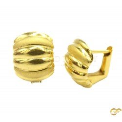 Beautiful Clip Earrings with Dual Finishing