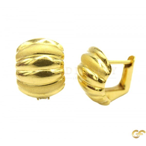 Beautiful Clip Earrings with Dual Finishing